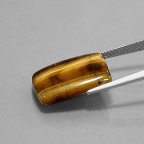 Occhio di tigre Oro Marrone naturale da 13.18 ct, Taglio a baguette, Opaco