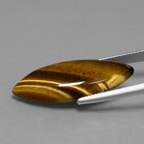 Tiger's eye naturale marrone da 16,23 ct, marchesa, opaco