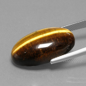 Tiger's eye naturale marrone da 19,73 ct, taglio ovale, opaco