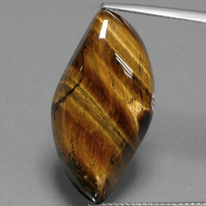 Occhio di tigre Oro Marrone naturale da 18.41 ct, Forma fantasia, Opaco