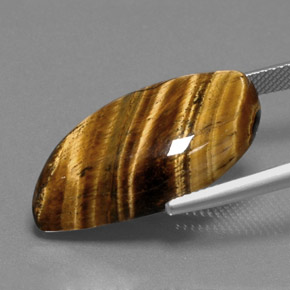 Occhio di tigre Oro Marrone naturale da 18.41 ct, Forma fantasia, Opaco