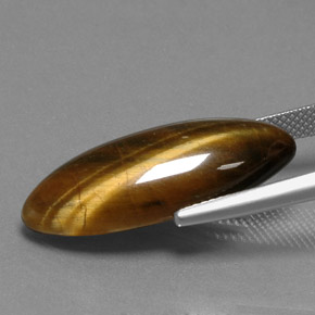 Tiger's eye naturale marrone da 14,53 ct, marchesa, opaco