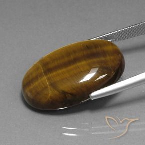 Occhio di tigre Marrone giallastro naturale da 20.74 ct, Ovale, Opaco