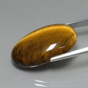 Tiger's eye naturale marrone da 19,59 ct, taglio ovale, opaco