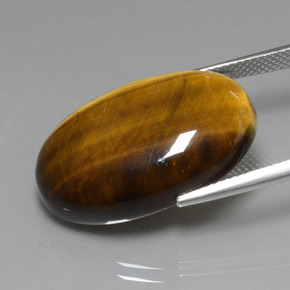 Tiger's eye naturale marrone da 20,74 ct, taglio ovale, opaco