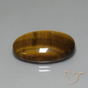 Occhio di tigre Marrone dorato naturale da 19.63 ct, Ovale, Opaco