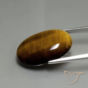 Occhio di tigre Marrone medio naturale da 20.74 ct, Ovale, Opaco