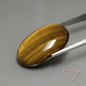 Occhio di tigre Marrone dorato naturale da 19.66 ct, Ovale, Opaco