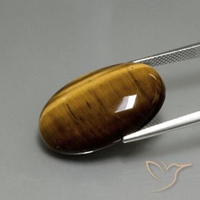 Occhio di tigre Marrone dorato naturale da 20.36 ct, Ovale, Opaco
