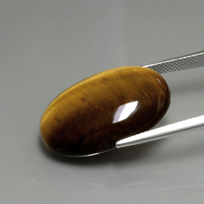 Tiger's eye naturale marrone da 20,21 ct, taglio ovale, opaco