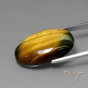 Occhio di tigre Marrone medio naturale da 20.61 ct, Ovale, Opaco