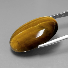 Tiger's eye naturale marrone da 20,54 ct, taglio ovale, opaco