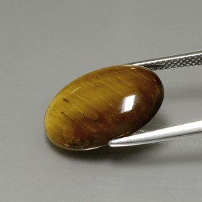 Tiger's eye naturale marrone da 7,51 ct, taglio ovale, opaco