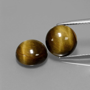 Gemme di Occhio di tigre Oro Marrone naturale da  ct, Taglio rotondo, Opaco