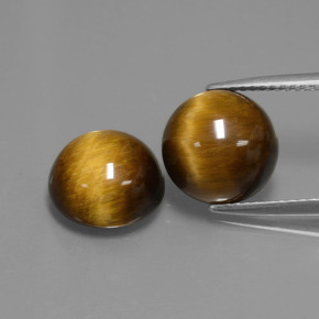 Gemme di occhio di tigre marrone dorato naturale da  ct, taglio rotondo, opaco