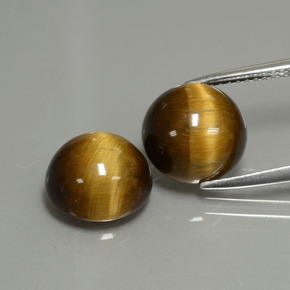 Gemme di Occhio di tigre Oro Marrone naturale da  ct, Taglio rotondo, Opaco