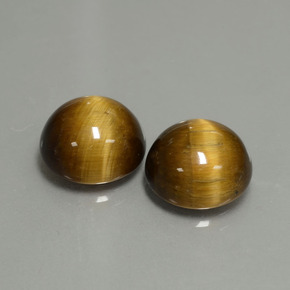 Gemme di Occhio di tigre Oro Marrone naturale da  ct, Taglio rotondo, Opaco