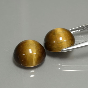 Gemme di Occhio di tigre Oro Marrone naturale da  ct, Taglio rotondo, Opaco