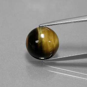 Occhio di tigre Oro Marrone naturale da 3.81 ct, Taglio rotondo, Opaco