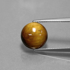 Occhio di tigre Oro Marrone naturale da 3.46 ct, Taglio rotondo, Opaco