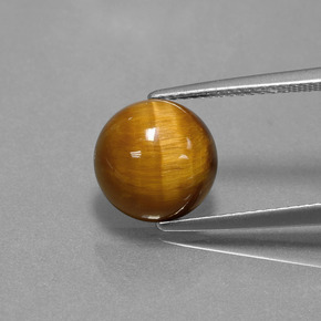 Tiger's eye naturale marrone da 3,69 ct, taglio rotondo, opaco
