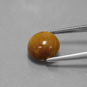Tiger's eye naturale marrone da 3,69 ct, taglio rotondo, opaco