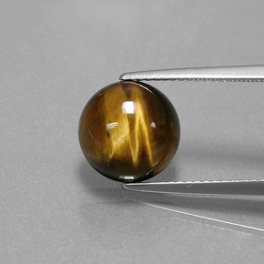 Tiger's eye naturale marrone da 3,72 ct, taglio rotondo, opaco