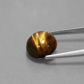 Tiger's eye naturale marrone da 3,72 ct, taglio rotondo, opaco