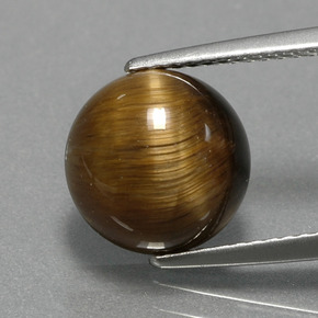 Occhio di tigre Oro Marrone naturale da 3.74 ct, Taglio rotondo, Opaco