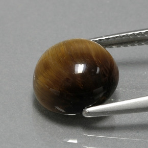 Occhio di tigre Oro Marrone naturale da 3.74 ct, Taglio rotondo, Opaco