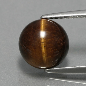 Tiger's eye naturale marrone da 2,79 ct, taglio rotondo, opaco
