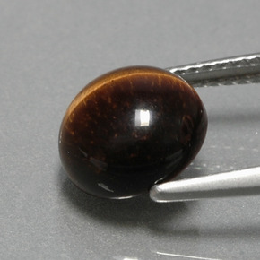 Tiger's eye naturale marrone da 2,79 ct, taglio rotondo, opaco