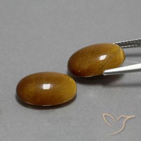 Gemme di Occhio di tigre Marrone dorato naturale da 9.05 ct, Ovale, Opaco