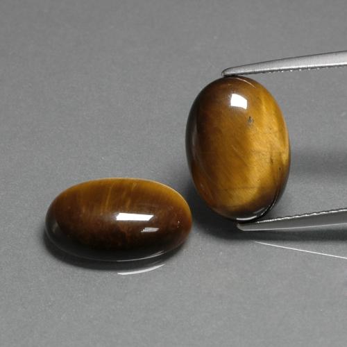 Gemme di Occhio di tigre Marrone dorato naturale da 9.11 ct, Taglio ovale, Opaco