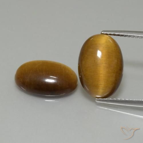 9.16ctw Naturale Marrone caldo Occhio di tigre, Ovale, Opaco