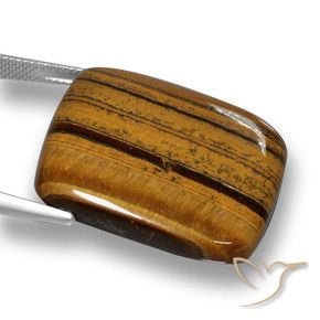Occhio di tigre Pan di zenzero marrone naturale da 41.49 ct, Cuscino, Opaco