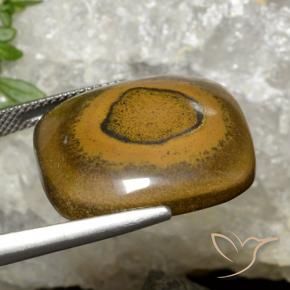 Occhio di tigre Marrone dorato naturale da 26.35 ct, Cuscino, Opaco