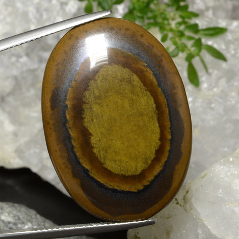 Occhio di tigre Cedar Brown naturale da 34.91 ct, Taglio ovale, Opaco
