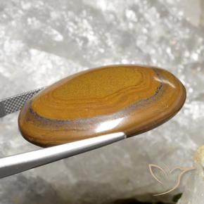 Occhio di tigre Marrone dorato naturale da 63.98 ct, Ovale, Opaco