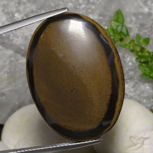30.73ct Naturale Hickory Brown Occhio di tigre, Ovale, Opaco