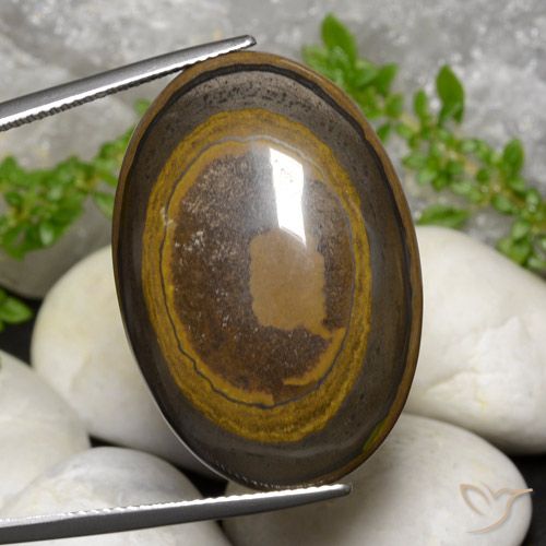 39.14ct Naturale Marrone caldo Occhio di tigre, Ovale, Opaco