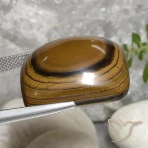 Occhio di tigre Marrone dorato naturale da 40.92 ct, Cuscino, Opaco