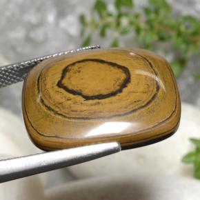 Tiger's eye naturale marrone da 23,77 ct, taglio a cuscino, opaco