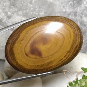 Occhio di tigre Marrone medio-scuro naturale da 79.99 ct, Ovale, Opaco
