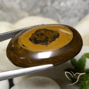 Occhio di tigre Marrone caldo naturale da 36.09 ct, Ovale, Opaco