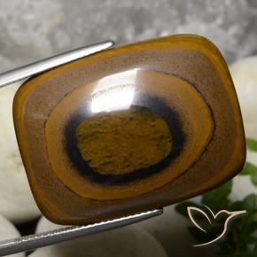 Occhio di tigre Marrone naturale da 42.78 ct, Cuscino, Opaco