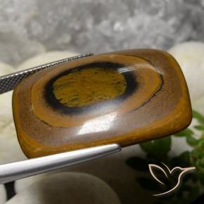Occhio di tigre Marrone naturale da 42.78 ct, Cuscino, Opaco