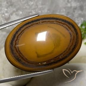 Occhio di tigre Marrone medio-scuro naturale da 59.70 ct, Ovale, Opaco