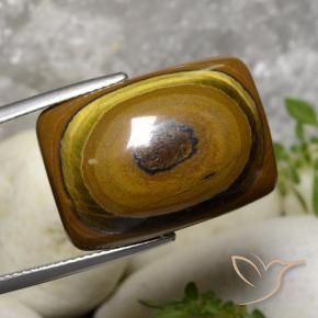 Occhio di tigre Marrone medio naturale da 31.07 ct, Cuscino, Opaco