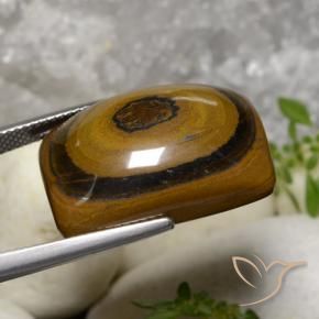 Occhio di tigre Marrone medio naturale da 31.07 ct, Cuscino, Opaco